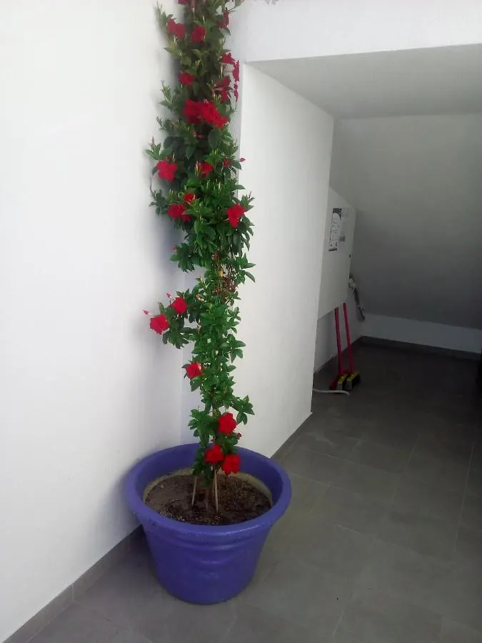 Persefoni Rooms Apartments & Mezonetes Toroni